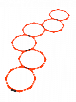 Derbystar Koordinationsringe Oktagon V22 I TOBA -Sport.shop