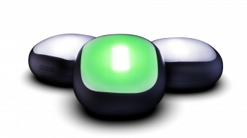 A-Champs ROX 3pcs-1 kaufen I TOBA-Sport.Shop