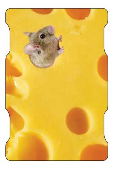 Langer Rollbrett LARB1600441 I TOBA-Sport.Shop 